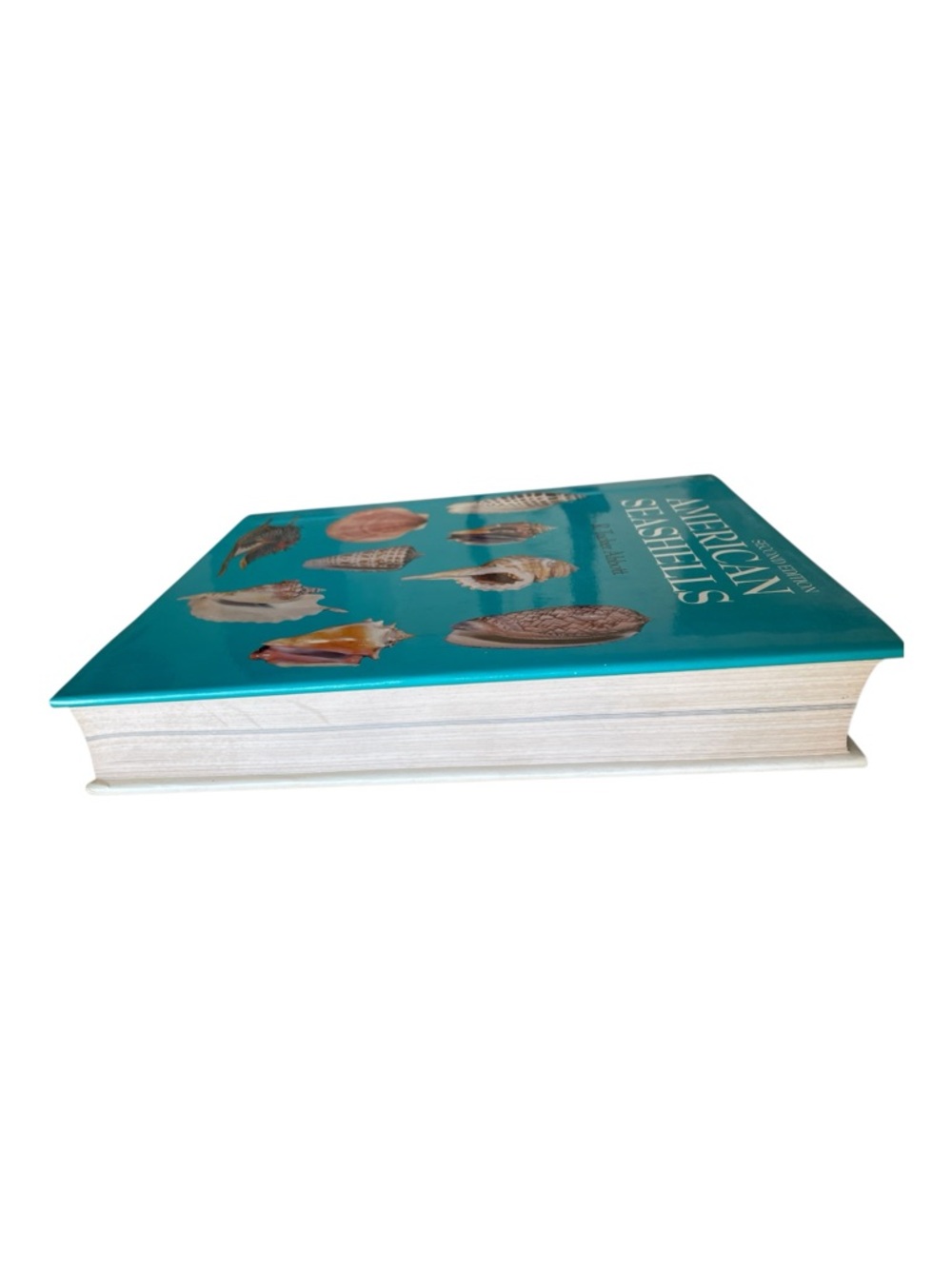 American Seashells Second Edition by R. Tucker Abbott Hardcover Reference - Picture 3 of 13